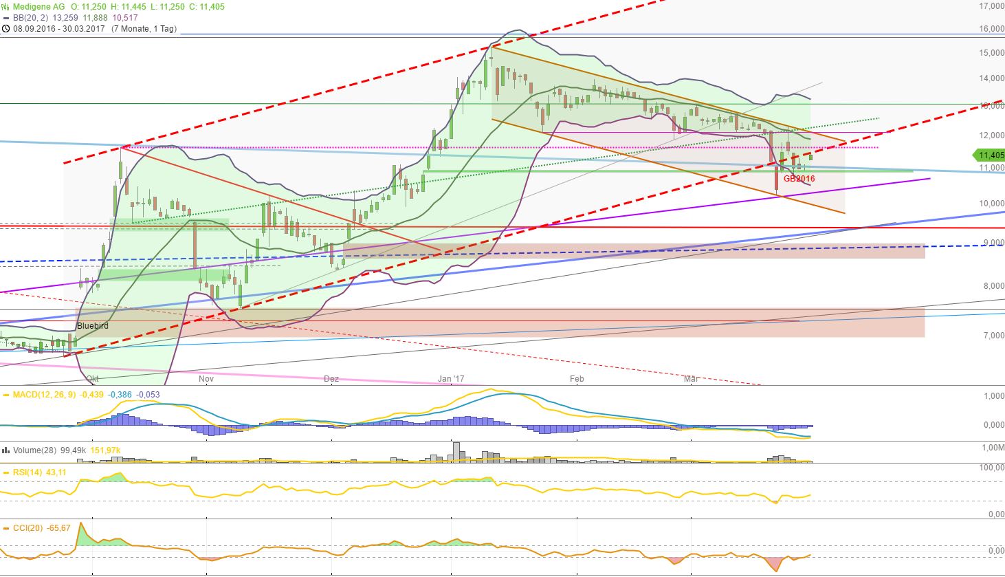 Medigene - Kurse/Quatschen/Charts/Einzeiler..u.s.w. 980989