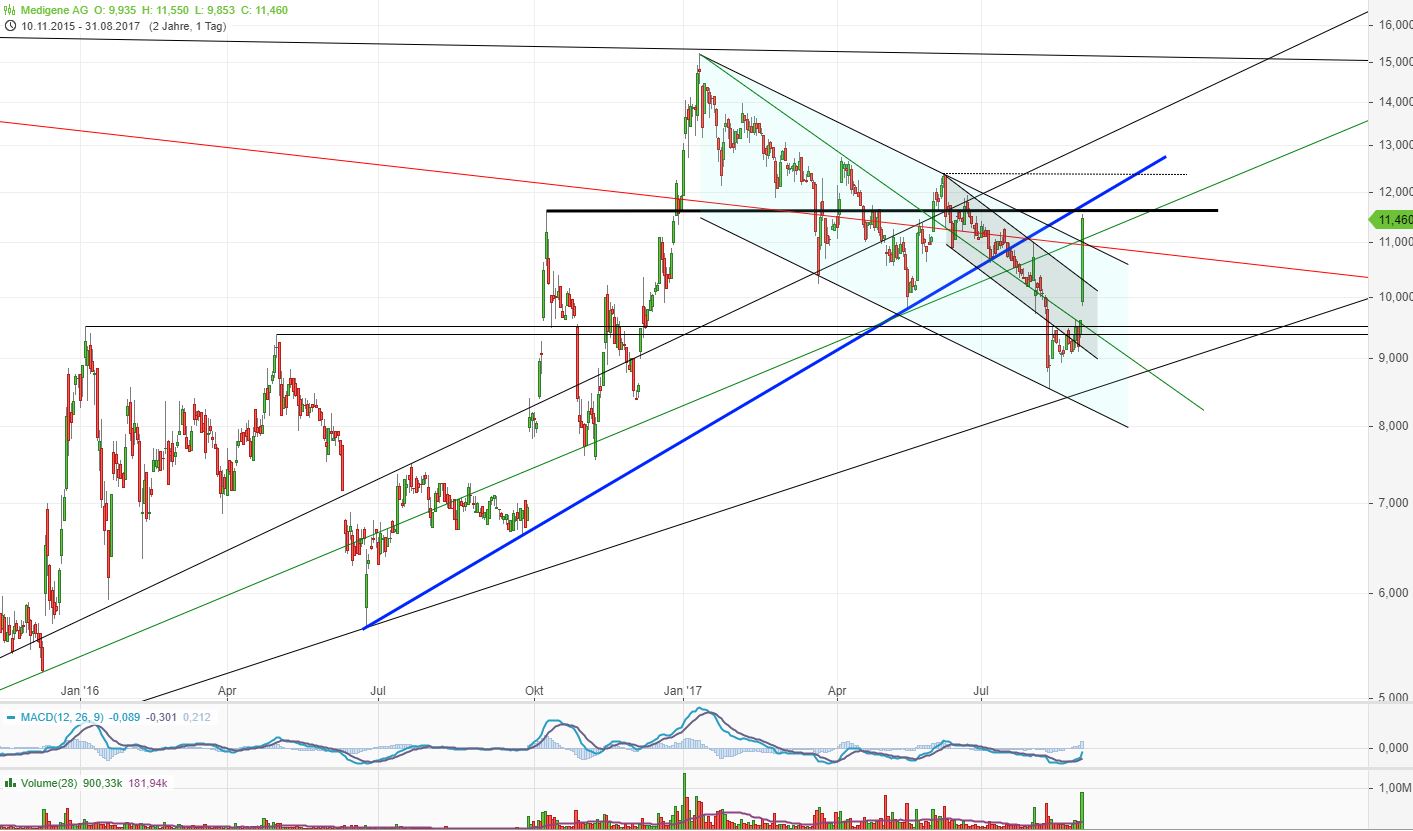 Medigene - Kurse/Quatschen/Charts/Einzeiler..u.s.w. 1009839