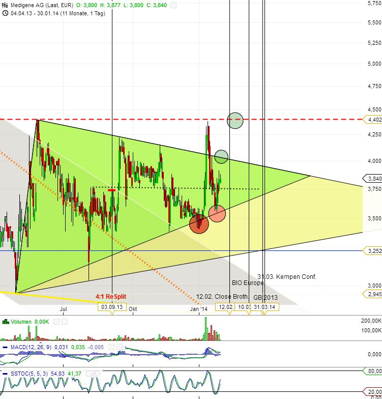 Medigene - Sachliche und fachliche Beiträge 689246