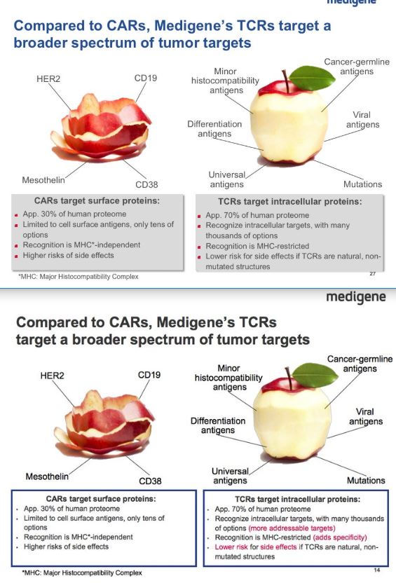 Medigene - Sachliche und fachliche Beiträge 1059125