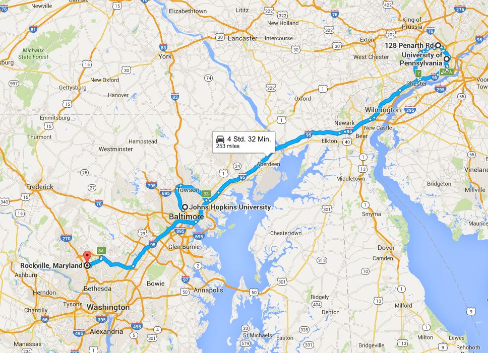 Medigene - Sachliche und fachliche Beiträge 886181