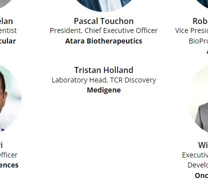 Medigene - Kurse/Quatschen/Charts/Einzeiler..u.s.w. 1330704