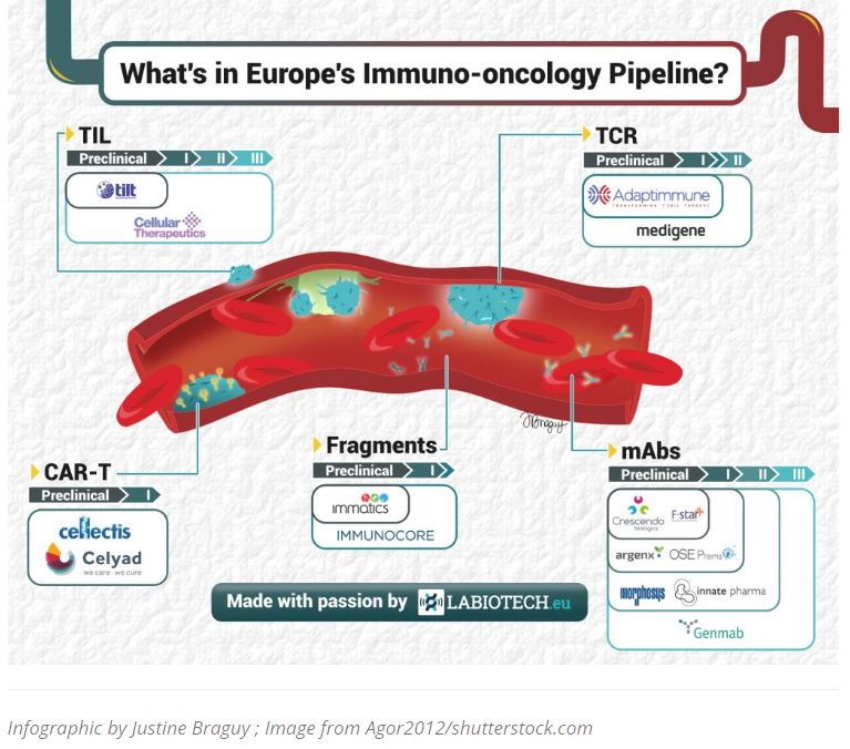 Medigene - Sachliche und fachliche Beiträge 971261