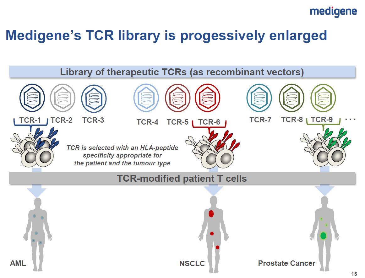 Medigene - Sachliche und fachliche Beiträge 885561
