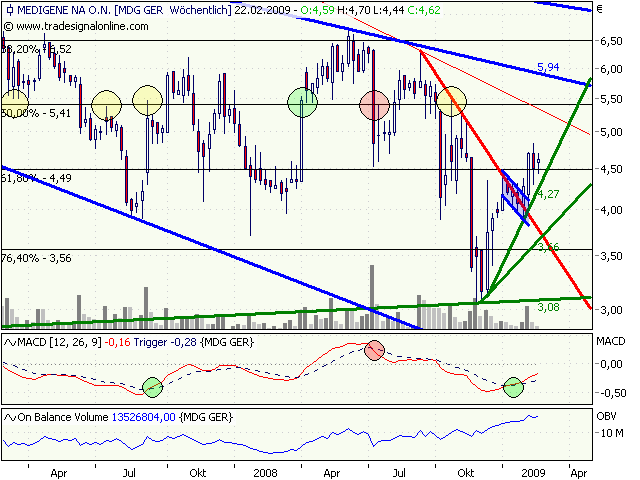 Medigene hoch interessanter Titel 217016