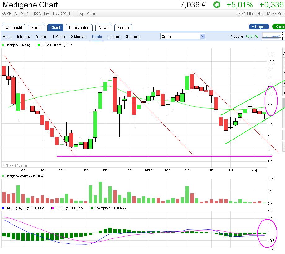 Medigene - Kurse/Quatschen/Charts/Einzeiler..u.s.w. 933793