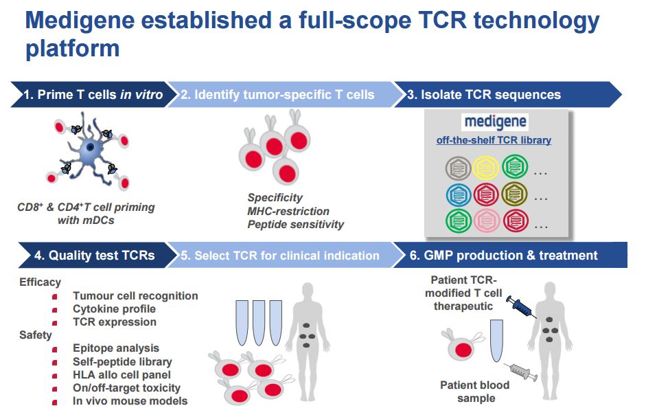 Medigene - Sachliche und fachliche Beiträge 952723