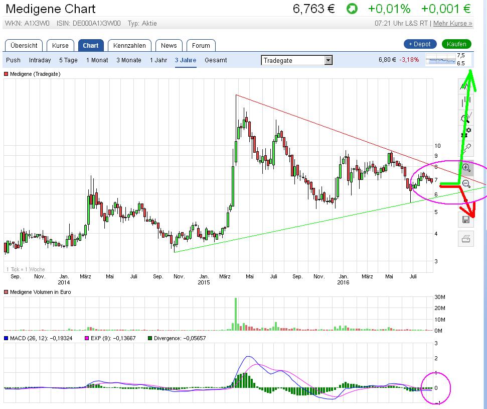 Medigene - Sachliche und fachliche Beiträge 933511