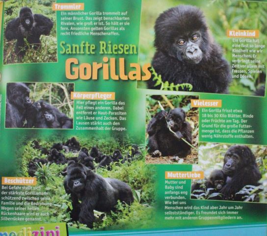 AMC Entertainment Holdings 2.0 - Todamoon?!? 1329298