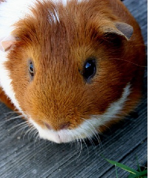 K+S: 70 Euro und mehr sind drin 671450