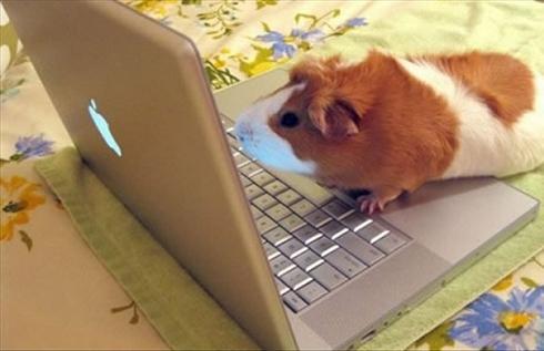 Aqua Society neuer Hype?? 514710