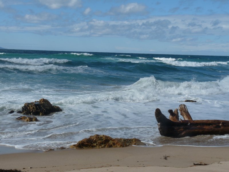 Banken in der Euro - Zone 589740