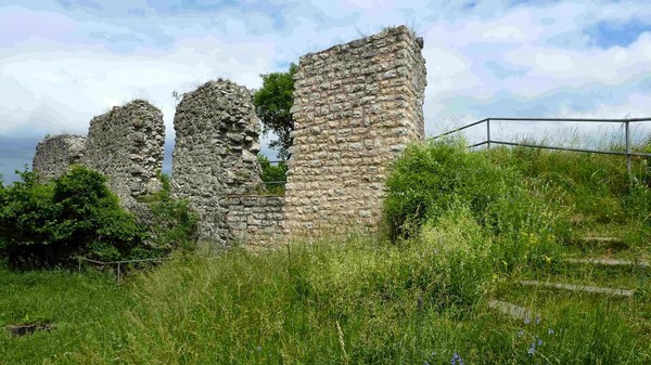 Altcoins - besser als Bitcoins? 745773