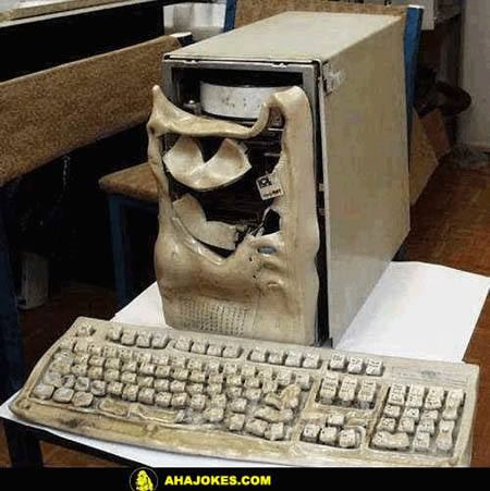 Der USA Bären-Thread 198954