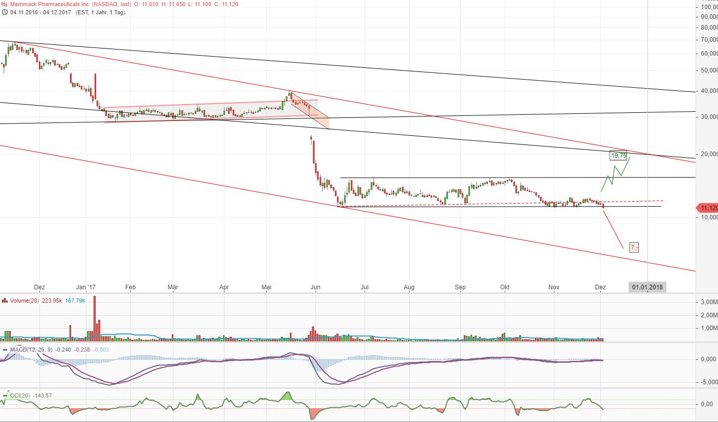 Merrimack Biotech/ Bauchspeicheldrüse 1028142