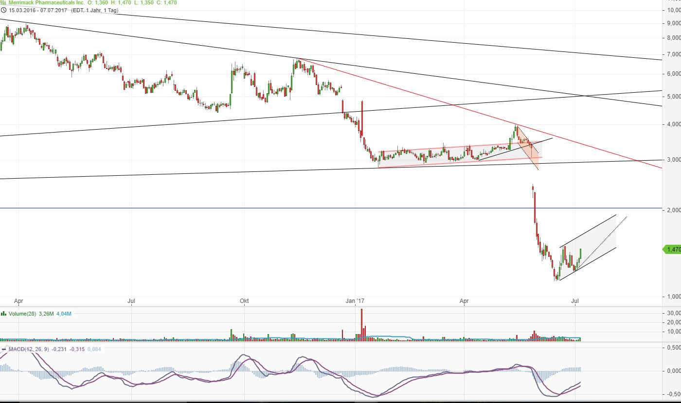 Merrimack Biotech/ Bauchspeicheldrüse 1000409