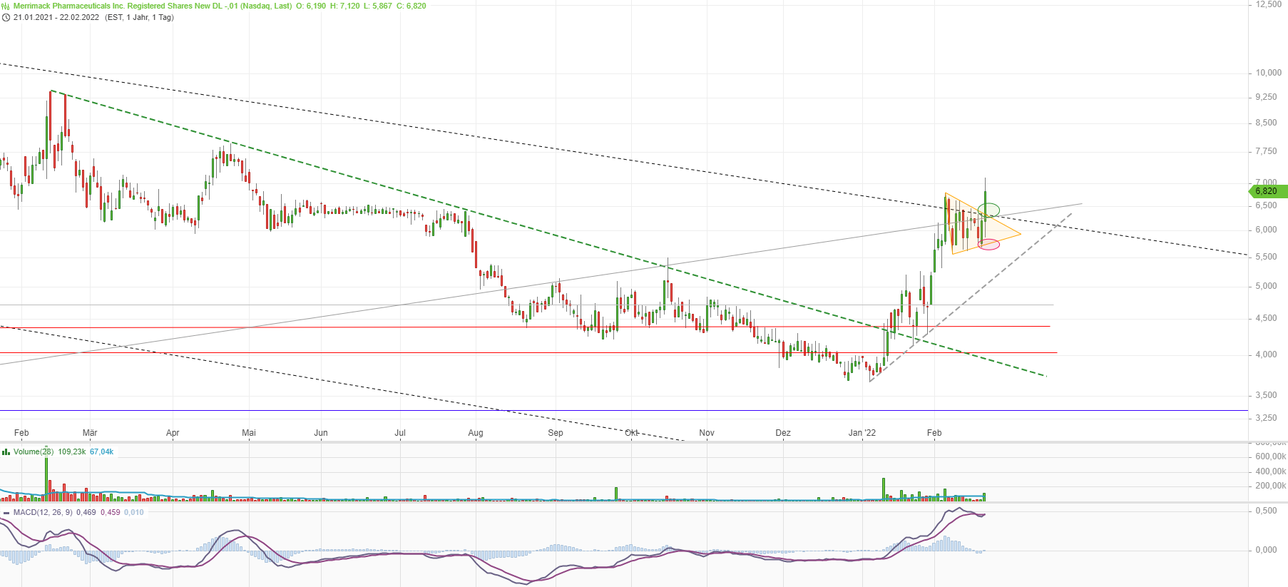 Merrimack Biotech/ Bauchspeicheldrüse 1301037