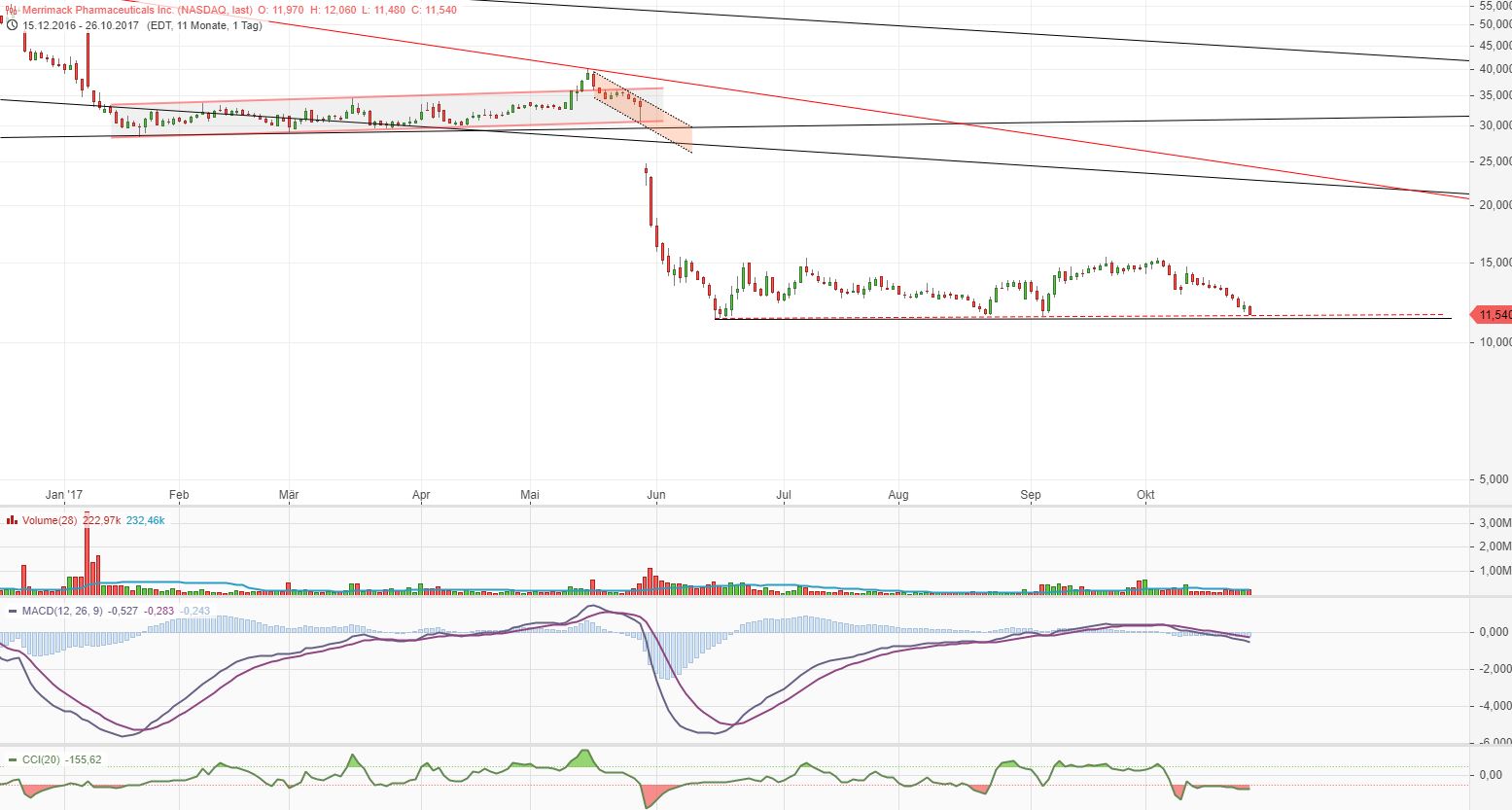 Merrimack Biotech/ Bauchspeicheldrüse 1020396