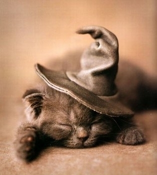 Thompson Creek Metals (Blue Pearl Mng) 207766