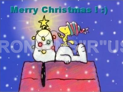 Quo Vadis Dax 2011 - All Time High? 470927