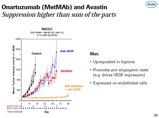 Arqule (903396)..auch eine Perle wie psivida? 541524