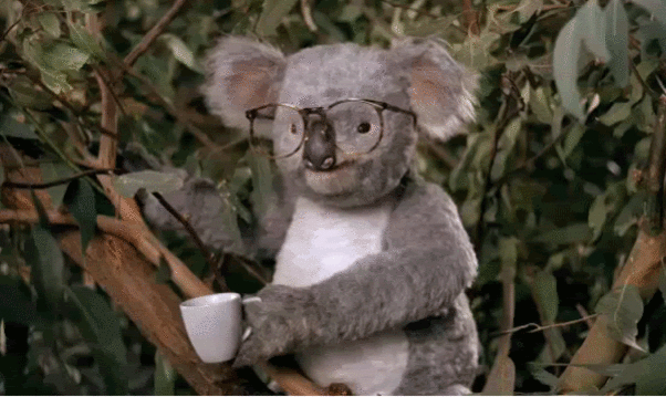 Quo Vadis Dax 2013 - Up, dank Liquidität 603951