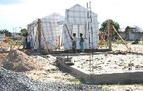 $$ Subpenny mit TSUNAMI-AUFTRAG $$ 29162