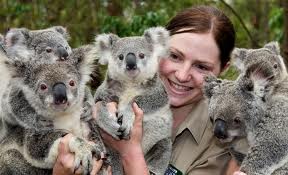 Antizykliker-Thread - v2.0 556114