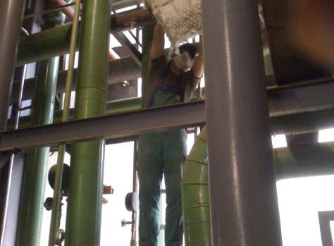 Aqua Society neuer Hype?? 401574