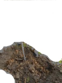 Quo Vadis Dax 2012 - Krise ohne Ende? 474532