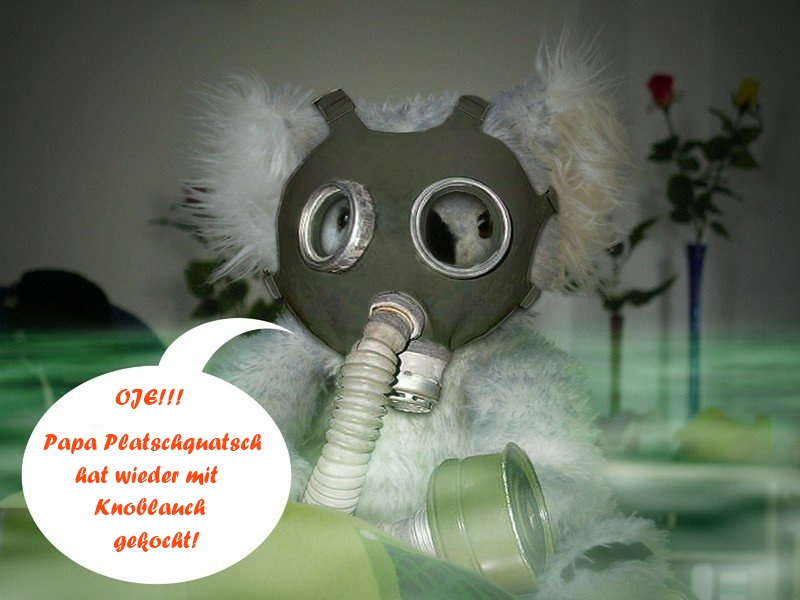 Der USA Bären-Thread 471054