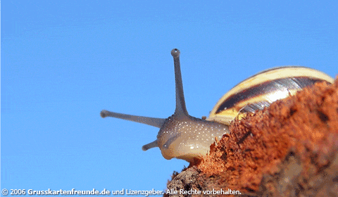 770.DAX Tipp-Spiel, Mittwoch, 23.04.08 160669