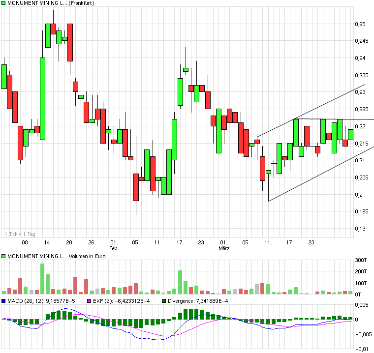Monument Mining LTD. A0MSJF 310963