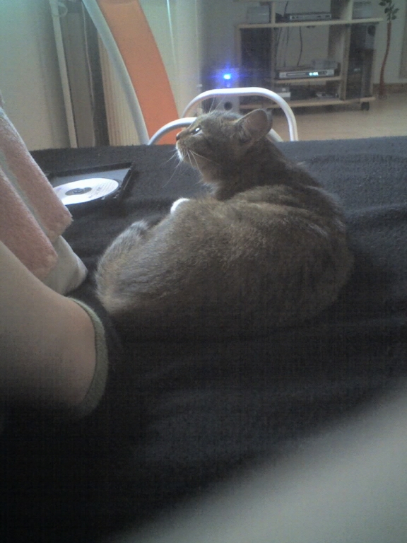 602.DAX Tipp-Spiel, Mittwoch, 22.08.07, 17.45 Uhr, 115977