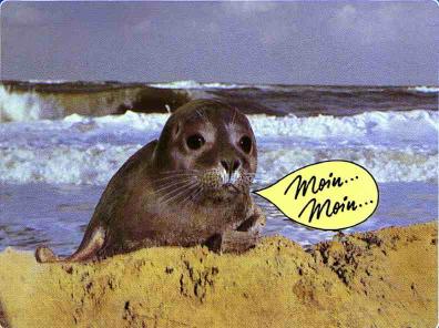 843.DAX-Tipp-Spiel**Mittwoch**06.08.08-17.45 Uhr 178428