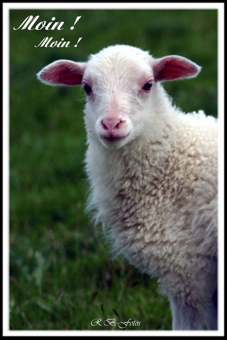 363.DAX Tipp-Spiel, Dienstag, 12.09.06 56423