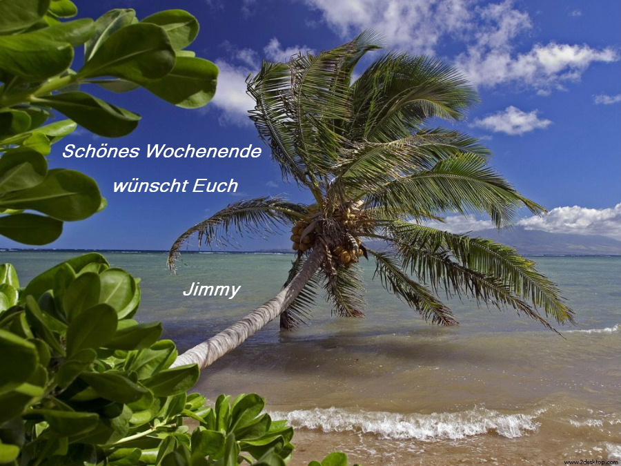 719.DAX Tipp-Spiel, Freitag, 08.02.08 147157