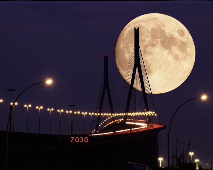 727.DAX Tipp-Spiel, Mittwoch, 20.02.08 149246