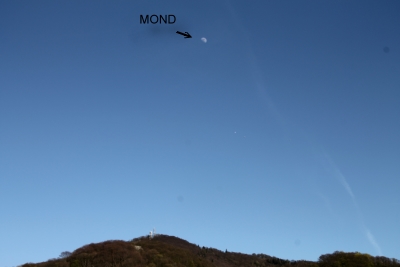 QV ultimate 2012 497103