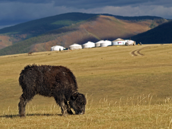 Gulfside Minerals - Top oder Flop? 334236