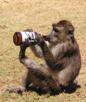 Thompson Creek Metals (Blue Pearl Mng) 108670