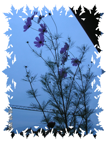 454.DAX Tipp-Spiel, Montag, 22.01.07 78399