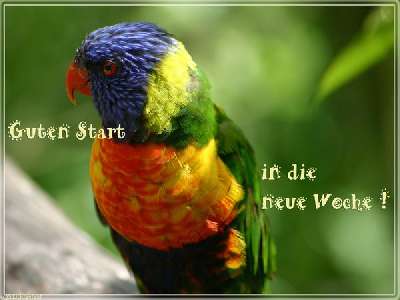 758.DAX Tipp-Spiel, Montag, 07.04.08 158089