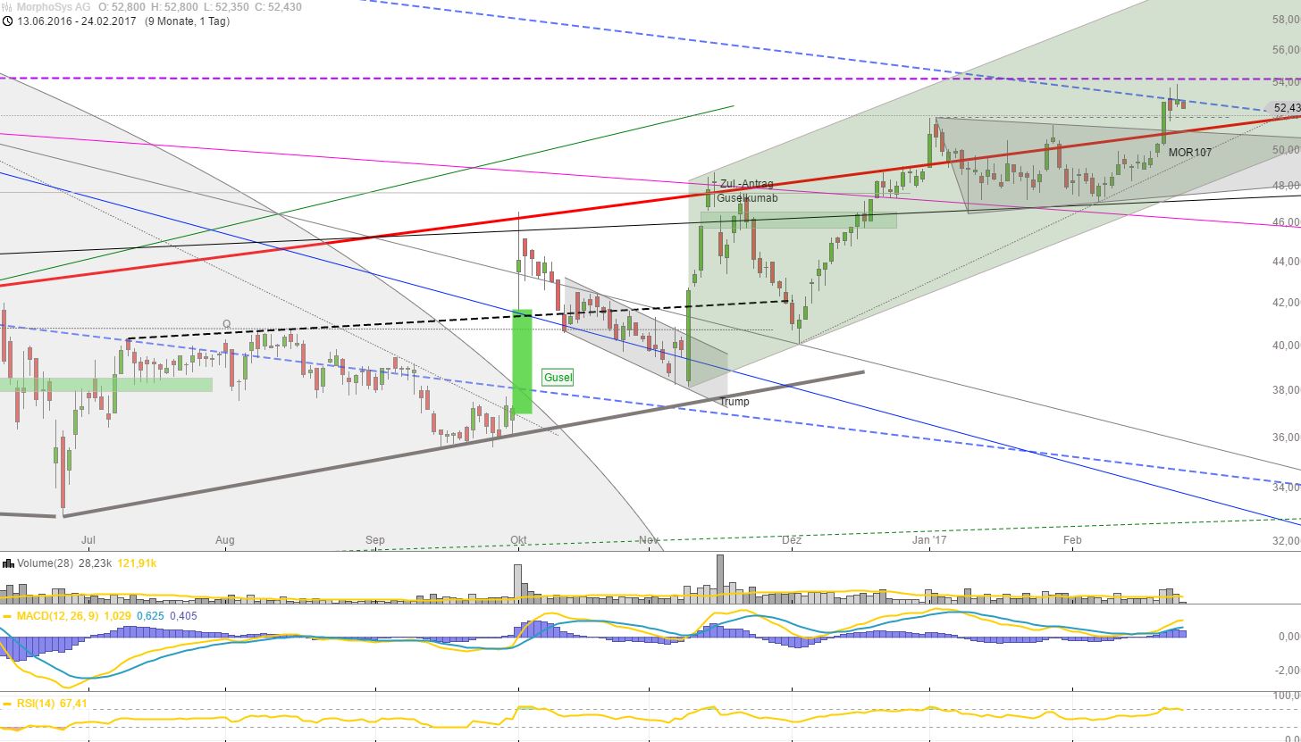 Morpho:Marktreife Partnerprojekte und Meilensteine 973872