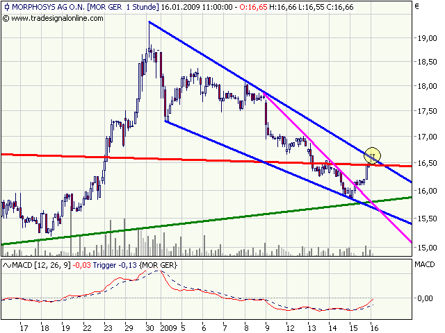 Morphosys: Sichere Gewinne und Milliardenpotential 210824