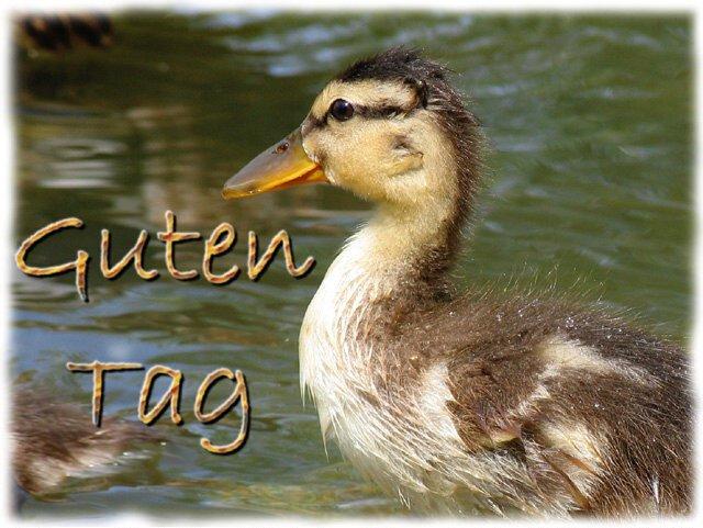 547.DAX Tipp-Spiel, Mittwoch, 07.06.07 101740