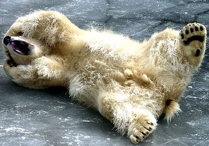 608.DAX Tipp-Spiel, Donnerstag, 30.08.07 117405