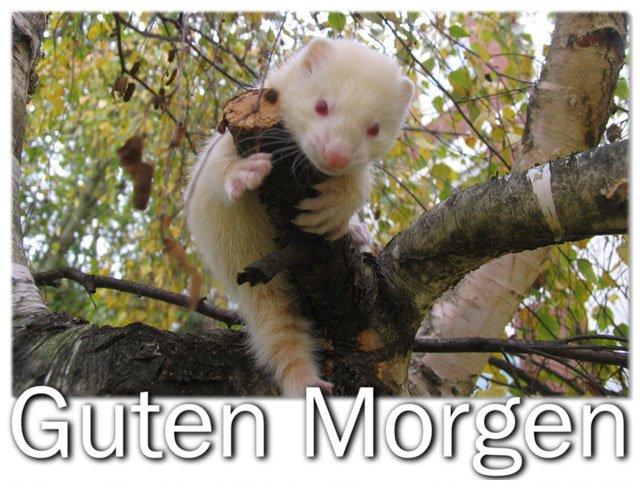 615.DAX Tipp-Spiel, Montag,10.09.07 119291