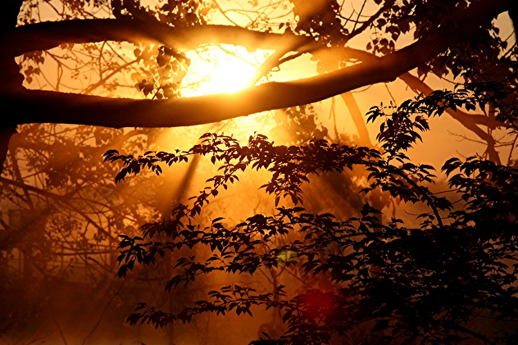 833.DAX-Tippspiel , Dienstag, 22.07.2008, 17:45 175880