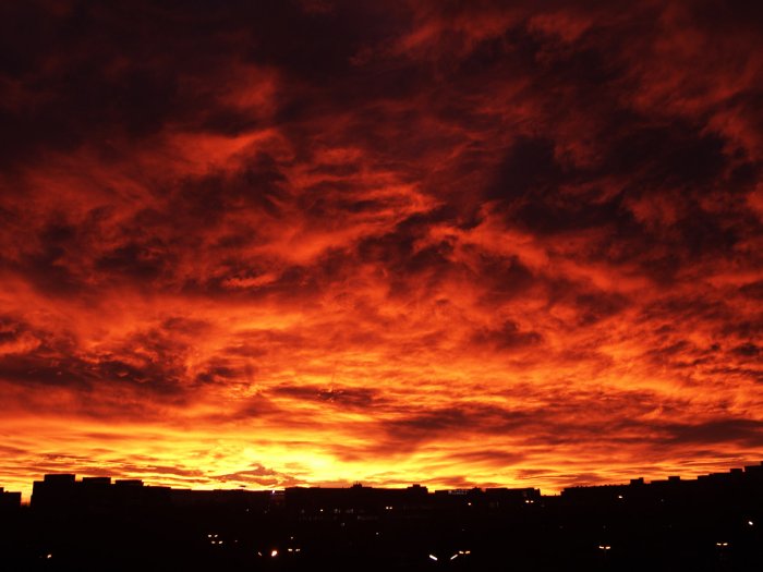 Der USA Bären-Thread 145209